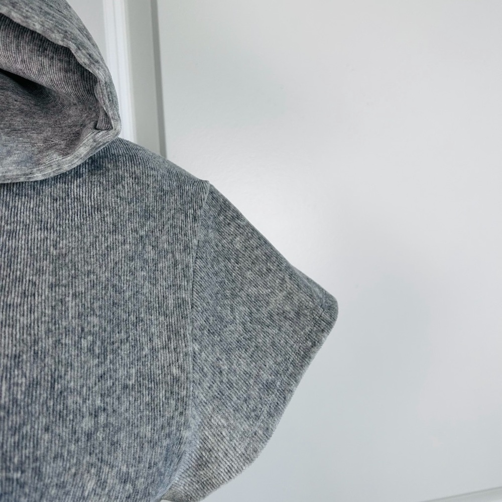 Alexander Wang Cropped Short Sleeve Hoodie in Grey Cotton EUC - Picture 6 of 11